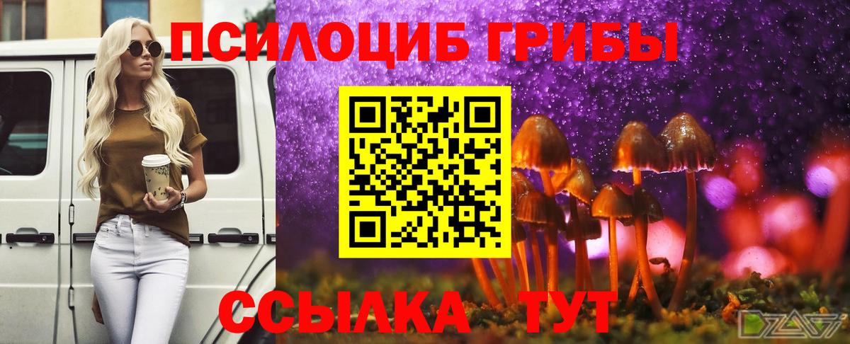 Галлюциногенные грибы MAGIC MUSHROOMS  Псилоцибиновые грибы прущие грибы  Вход с VPN  Южноуральск 